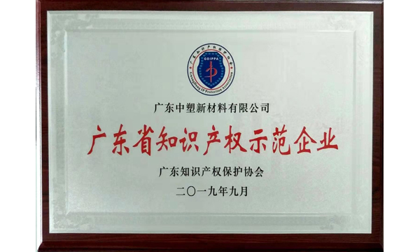 喜讯！B体育获“广东省知识产权示范企业”荣誉称号